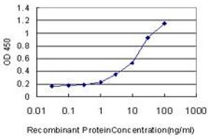 Detection limit for recombinant GST tagged GDF11 is approximately 0. (GDF11 antibody  (AA 310-407))