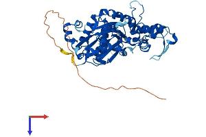AlphaFold protein structure predicition of Mouse Recombinant Actl9 Protein, UniprotID Q8CG27 (ACTL9 Protein (AA 1-415) (His tag))