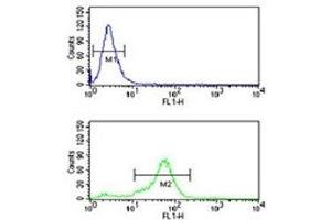 H4 antibody flow cytometric analysis of NCI-H460 cells (bottom histogram) compared to a negative control (top histogram). (HIST1H4A antibody  (meLys20))
