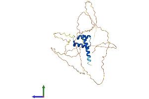 Protein Structure (PS) image for Homeobox D13 (HOXD13) (AA 1-343) protein (His tag) (ABIN7548398)