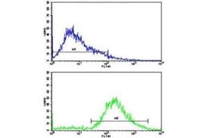 Flow cytometric analysis of Jurkat cells using VIP antibody (green) compared to a negative control (blue). (Vip antibody  (AA 139-167))