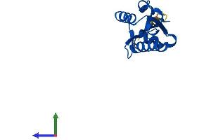 AlphaFold protein structure predicition of Human Recombinant PTRHD1 Protein, UniprotID Q6GMV3 (PTRHD1 Protein (AA 1-140) (His tag))