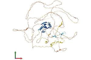 AlphaFold protein structure predicition of Mouse Recombinant Skida1 Protein, UniprotID Q80YR3 (SKIDA1 Protein (AA 1-822) (His tag))