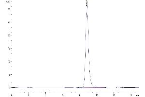 The purity of Mouse B7-H5/Gi24/VISTA is greater than 95 % as determined by SEC-HPLC. (VTCN1 Protein (AA 33-194) (Fc Tag))