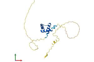 AlphaFold protein structure predicition of Human Recombinant TGIF2LY Protein, UniprotID Q8IUE0