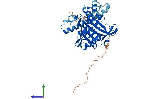 AlphaFold protein structure predicition of Mouse Recombinant Rpf1 Protein, UniprotID Q7TND5 (RPF1 Protein (AA 1-349) (His tag))