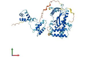 Protein Structure (PS) image for Tigger Transposable Element Derived 3 (TIGD3) (AA 1-471) protein (His tag) (ABIN7544554)