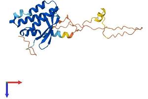 PX Domain Containing 1 (PXDC1) (AA 1-231) protein (His tag)