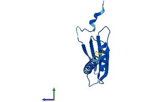 Protein Structure (PS) image for Polymerase (RNA) II (DNA Directed) Polypeptide J2 (POLR2J2) (AA 1-115) protein (His tag) (ABIN7551523)