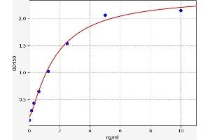 Typical standard curve (Cyclin D2 ELISA Kit)