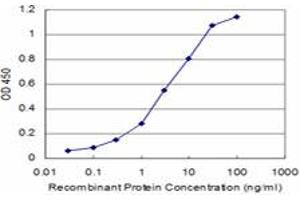 Detection limit for recombinant GST tagged PSPH is approximately 0. (PSPH antibody  (AA 1-225))