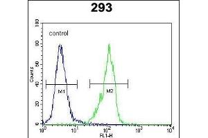 GAL Antibody (C-term) (ABIN651932 and ABIN2840460) flow cytometric analysis of 293 cells (right histogram) compared to a negative control cell (left histogram).