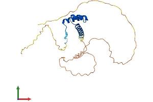 AlphaFold protein structure predicition of Human Recombinant NANOGP1 Protein, UniprotID Q8N7R0 (NANOGP1 Protein (AA 1-232) (His tag))