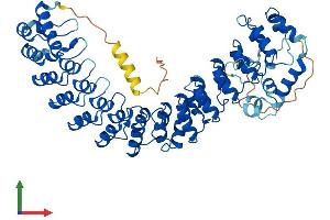 AlphaFold protein structure predicition of Mouse Recombinant Asb15 Protein, UniprotID Q8VHS6 (ASB15 Protein (AA 1-583) (His tag))