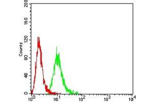 Flow cytometric analysis of Hela cells using POLR2A mouse mAb (green) and negative control (red). (POLR2A/RPB1 antibody  (AA 128-258))