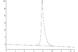 Size-exclusion chromatography-High Pressure Liquid Chromatography (SEC-HPLC) image for CD3 epsilon (CD3E) protein (Fc Tag) (ABIN7274301)