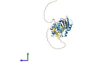 Protein Structure (PS) image for Sjogren Syndrome Antigen B (SSB) (AA 1-415) protein (His tag) (ABIN7563127)