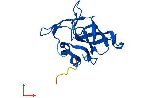 AlphaFold protein structure predicition of Human Recombinant RPL23 Protein, UniprotID P62829