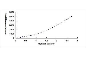 RPSA/Laminin Receptor ELISA Kit