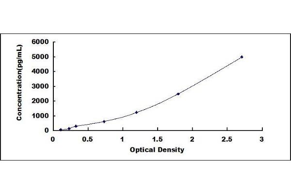 RPSA/Laminin Receptor ELISA Kit