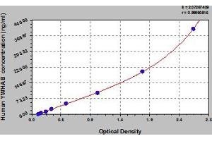 Typical Standard Curve (YWHAB ELISA Kit)