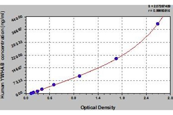 YWHAB ELISA Kit