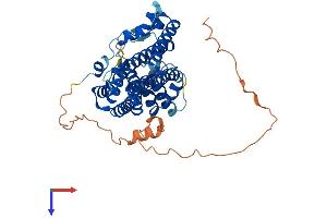 AlphaFold protein structure predicition of Human Recombinant PDSS1 Protein, UniprotID Q5T2R2 (PDSS1 Protein (AA 1-415) (His tag))