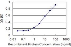 Detection limit for recombinant GST tagged IKBKB is 0. (IKBKB antibody  (AA 3-120))