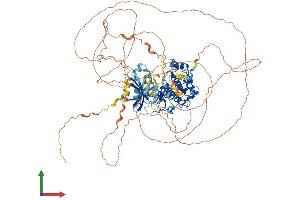 Protein Structure (PS) image for Microtubule Associated serine/threonine Kinase-Like (MASTL) (AA 1-879) protein (His tag) (ABIN7554059)