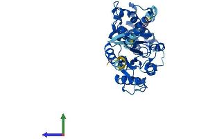 AlphaFold protein structure predicition of Mouse Recombinant Gna14 Protein, UniprotID P30677 (GNa14 Protein (AA 1-355) (His tag))