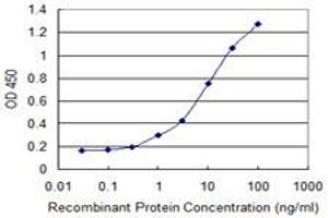 Detection limit for recombinant GST tagged TMIGD1 is 0. (TMIGD1 antibody  (AA 1-262))