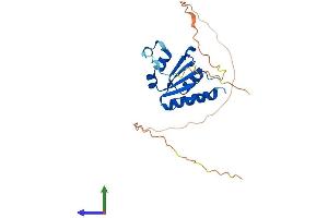 AlphaFold protein structure predicition of Mouse Recombinant Malsu1 Protein, UniprotID Q9CWV0