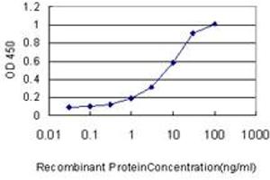 Detection limit for recombinant GST tagged GNG7 is approximately 1ng/ml as a capture antibody. (GNG7 antibody  (AA 1-68))