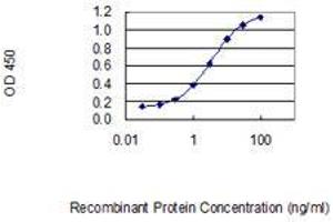 Detection limit for recombinant GST tagged IL23A is 0. (IL23A antibody  (AA 1-189))