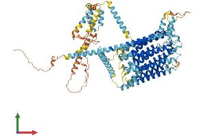 Protein Structure (PS) image for Transmembrane Channel-Like 6 (TMC6) (AA 1-810) protein (His tag) (ABIN7558222)