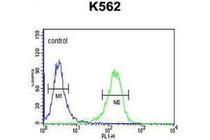 C21orf29 Antibody (Center) flow cytometric analysis of K562 cells (right histogram) compared to a negative control cell (left histogram).
