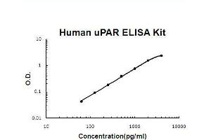 Human uPAR PicoKine ELISA Kit standard curve (PLAUR ELISA Kit)