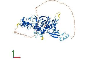 AlphaFold protein structure predicition of Human Recombinant USP39 Protein, UniprotID Q53GS9