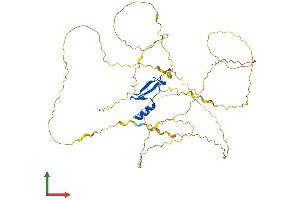 Protein Structure (PS) image for Methyl CpG Binding Protein 2 (MECP2) (AA 1-484) protein (His tag) (ABIN7556420)