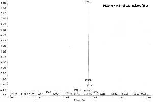 Mass Spectrometry (MS) image for Histone H3.2 (biotinylated), (full length), (N-Term), (truncated) protein (ABIN2669570)