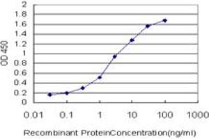 Detection limit for recombinant GST tagged JAG2 is approximately 0. (JAG2 antibody  (AA 121-210))