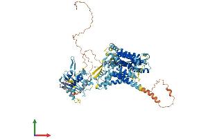AlphaFold protein structure predicition of Mouse Recombinant Slc4a11 Protein, UniprotID A2AJN7