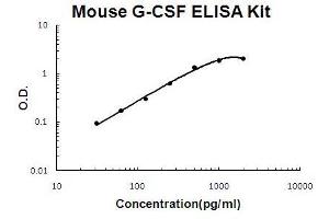 Mouse G-CSF PicoKine ELISA Kit standard curve (G-CSF ELISA Kit)