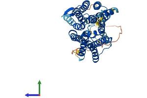 AlphaFold protein structure predicition of Human Recombinant SLC52A1 Protein, UniprotID Q9NWF4