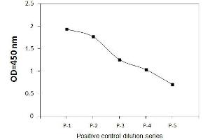 A431 cells were treated with recombinant human EGF at 37°C for 20 min. (STAT5A ELISA Kit)