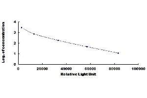 ELISA image for Angiotensin II (Ang II) CLIA Kit (ABIN1383661)