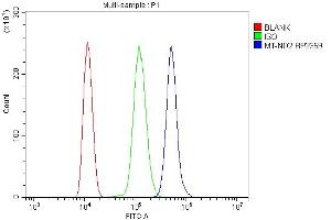 Flow Cytometry analysis of ANA-1 cells using anti-Mtnd2 antibody (ABIN7603114). (MT-ND2 antibody  (N-Term))