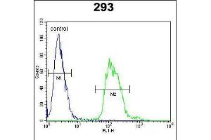 Flow cytometric analysis of 293 cells (right histogram) compared to a negative control cell (left histogram). (TAC1 antibody  (C-Term))