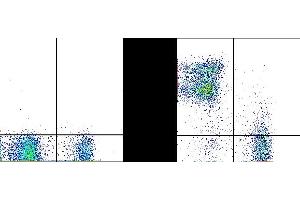 C57Bl/6 splenocytes were stained with 0.