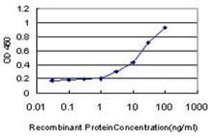 Detection limit for recombinant GST tagged PIGL is approximately 1ng/ml as a capture antibody. (PIGL antibody  (AA 153-252))